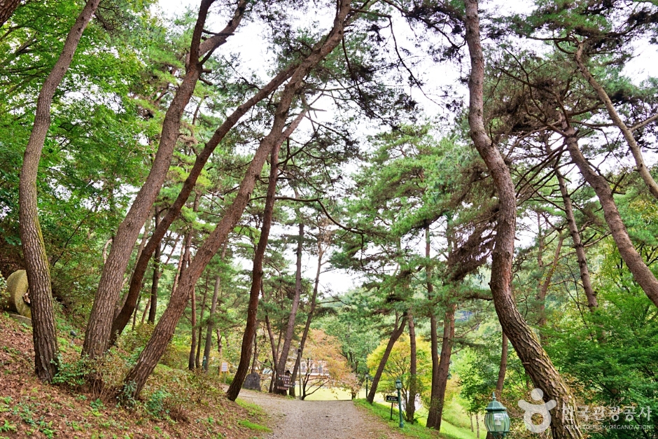 진천 배티 성지 이미지 4