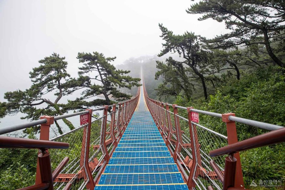 대왕암공원 출렁다리 이미지 5