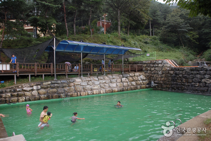 봉수산자연휴양림&수목원 이미지 3