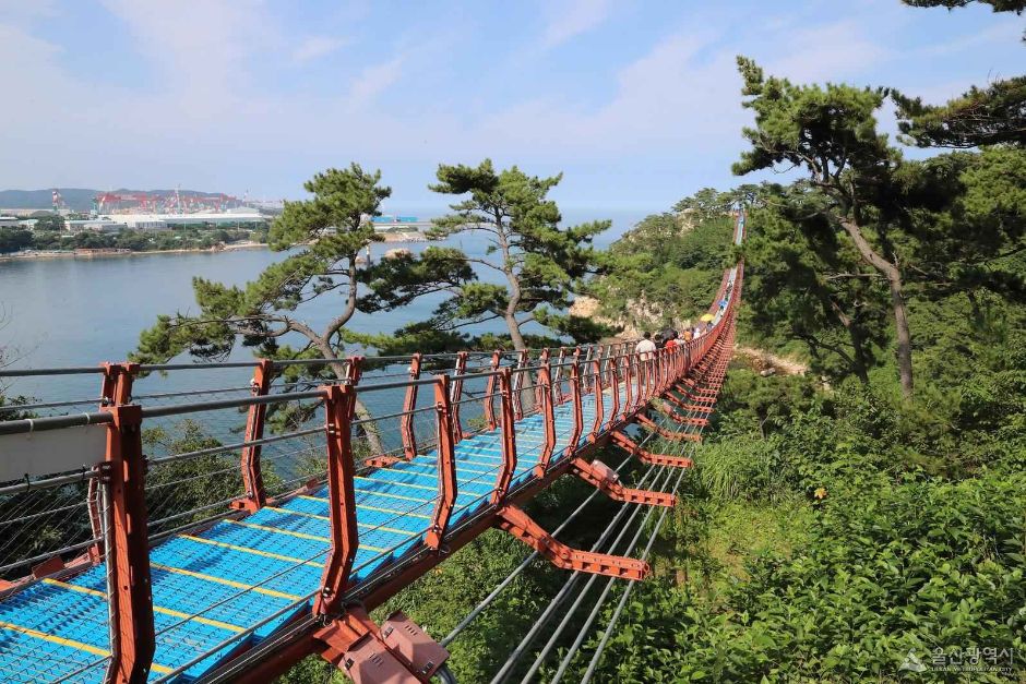 대왕암공원 출렁다리 이미지 2