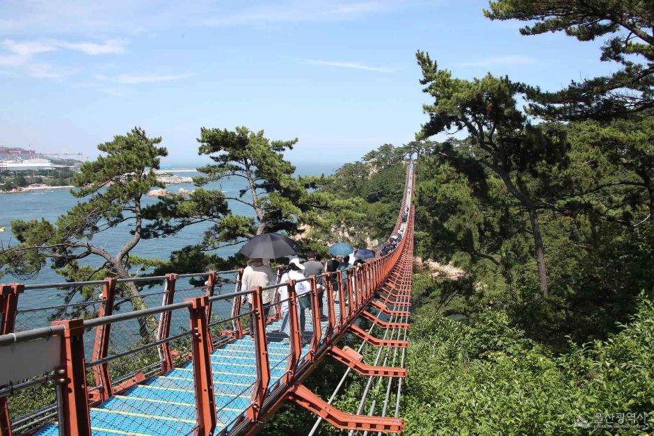 대왕암공원 출렁다리 이미지 4