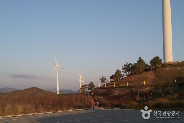 경북동해안지질공원 이미지 2