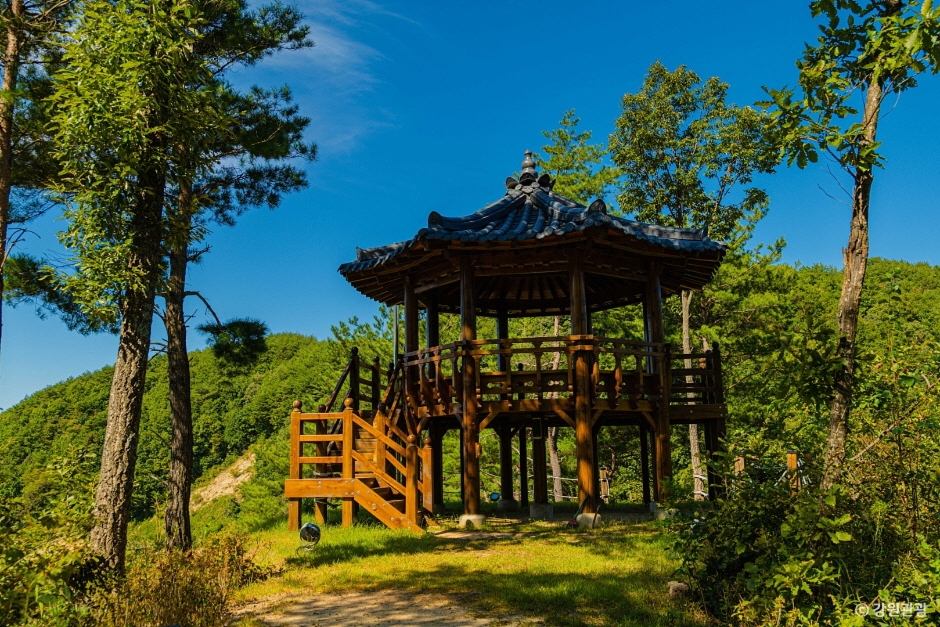 양구수목원 이미지 6