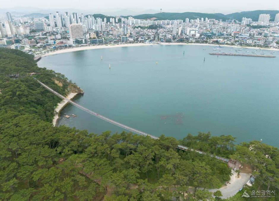 대왕암공원 출렁다리 이미지 1