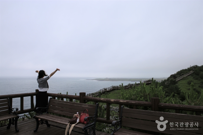 송악산둘레길 이미지 4