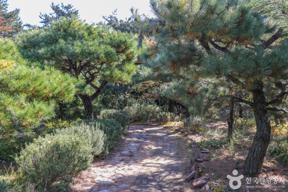 울산테마식물수목원 이미지 4