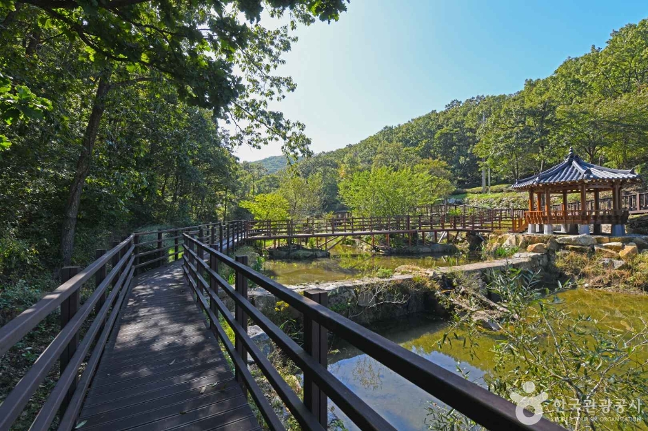석모도수목원 이미지 3
