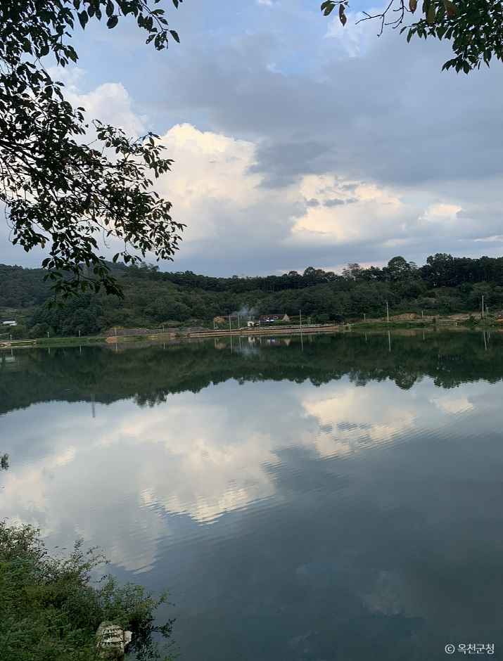 옥천 교동저수지 이미지 5