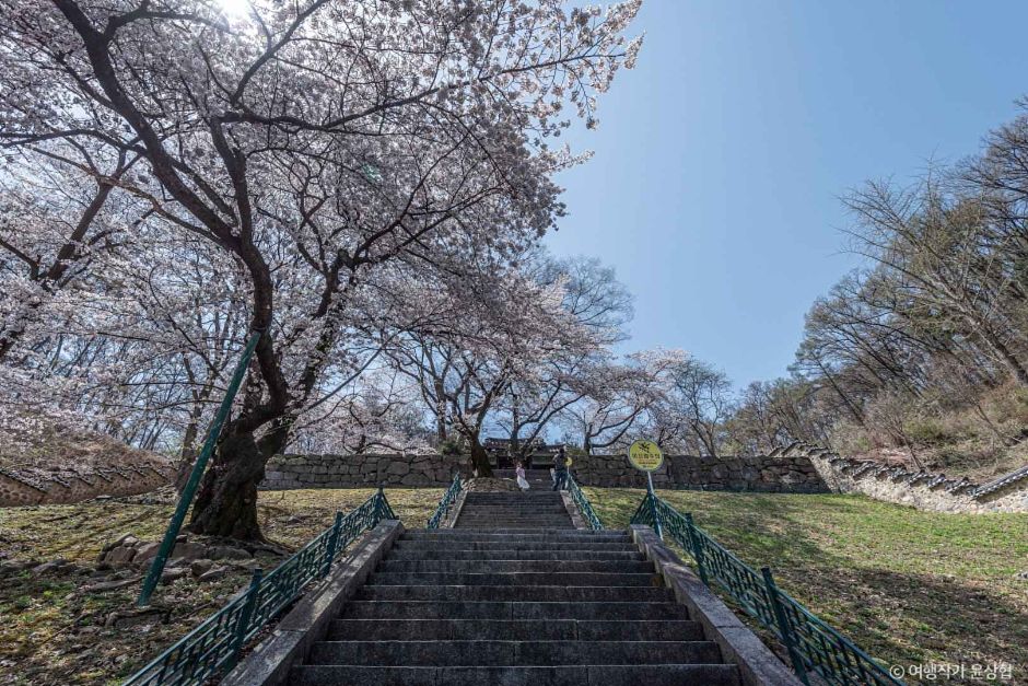 진천 길상사 이미지 2