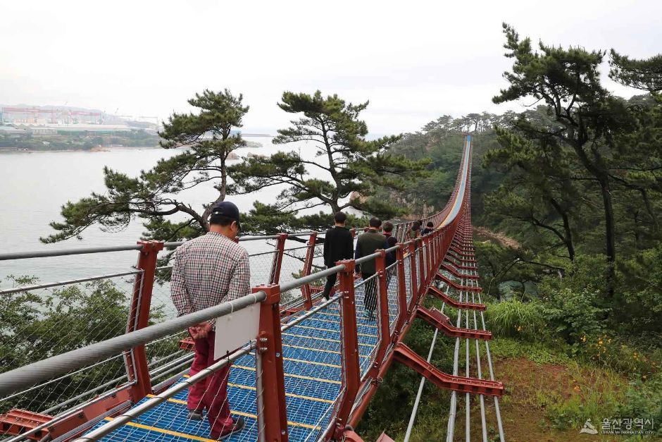대왕암공원 출렁다리 이미지 3