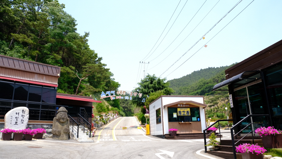 세아휴양림수목원 이미지 1