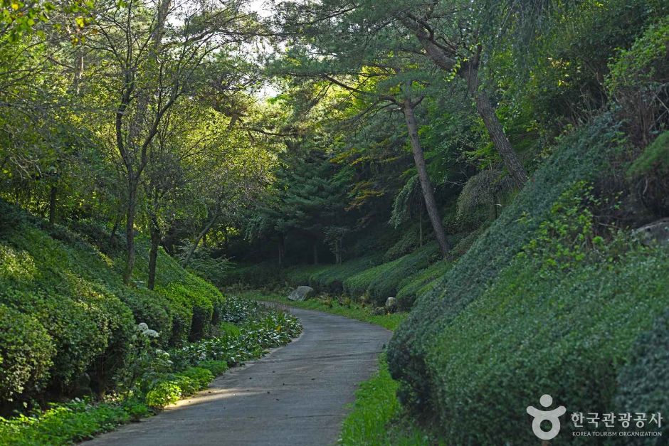 척야산 문화수목원 이미지 3
