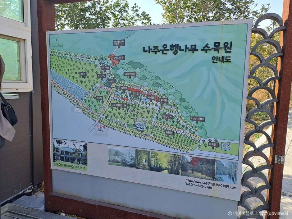 나주은행나무수목원 이미지 3
