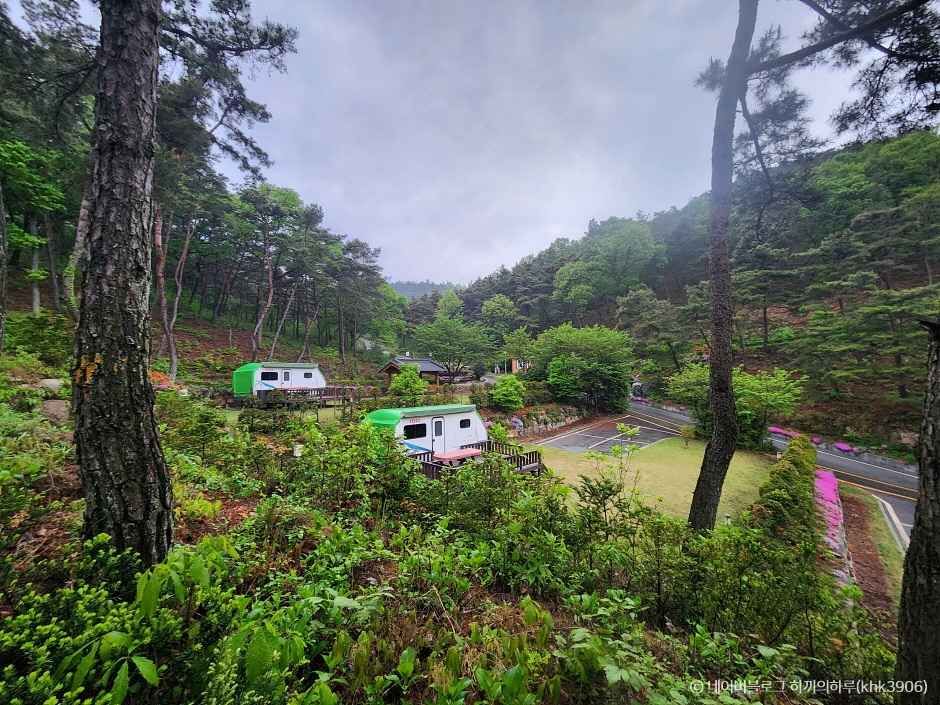 세아휴양림수목원 이미지 2