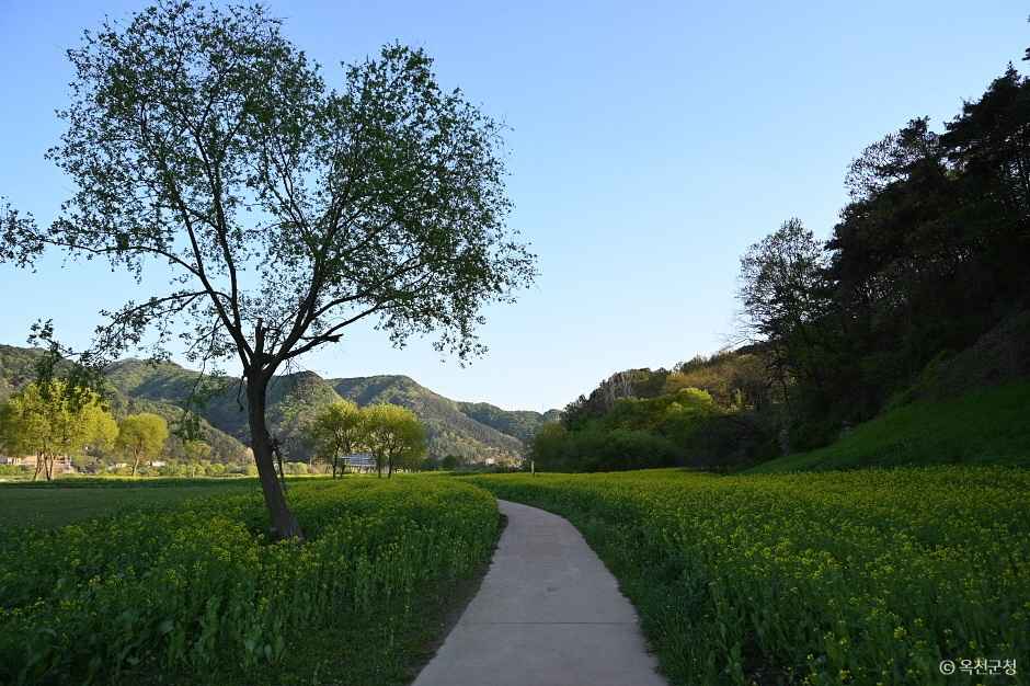 옥천금강수변 친수공원 이미지 4