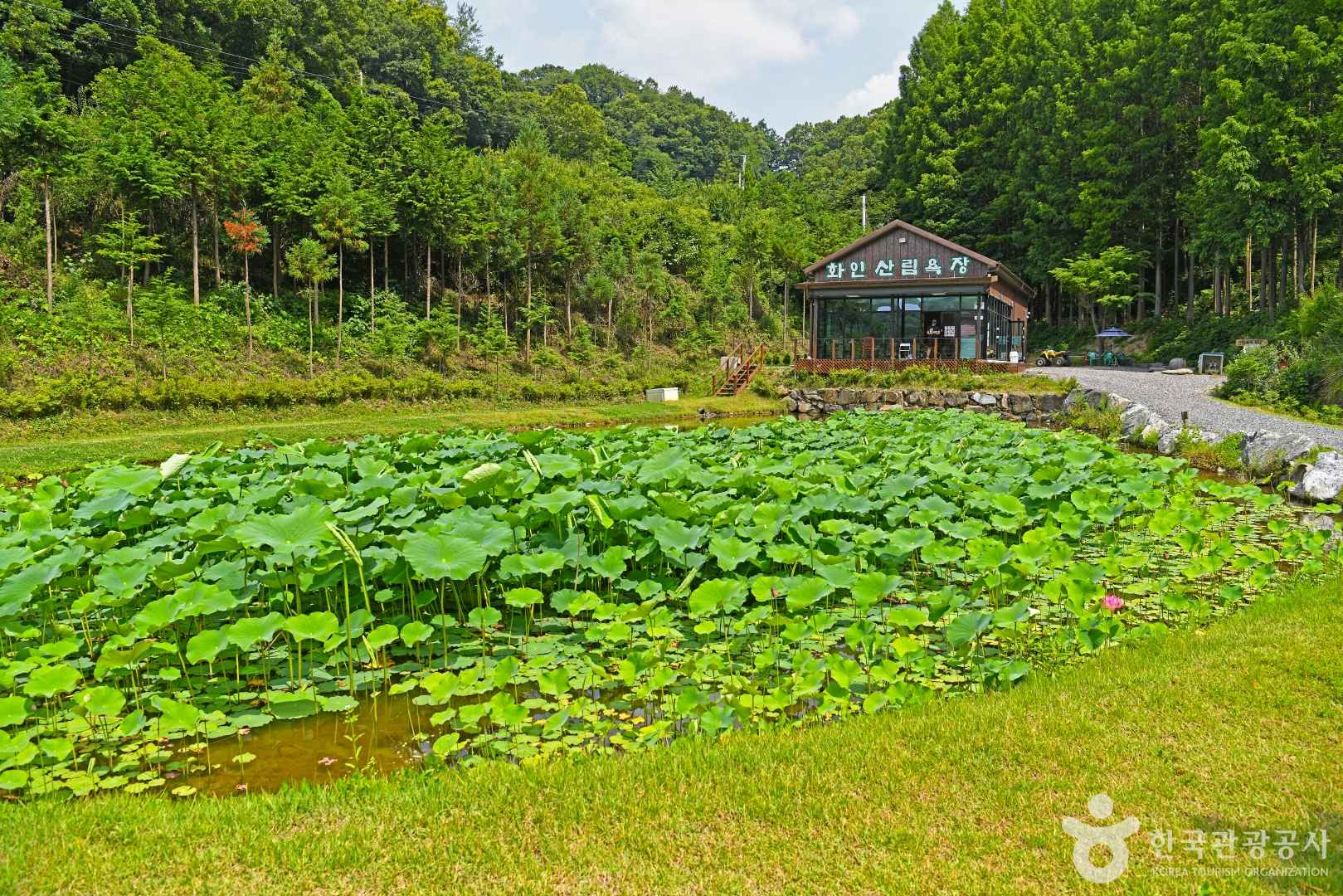 옥천 화인산림욕장 이미지 6