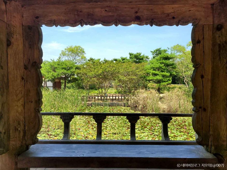 안면도수목원 이미지 4