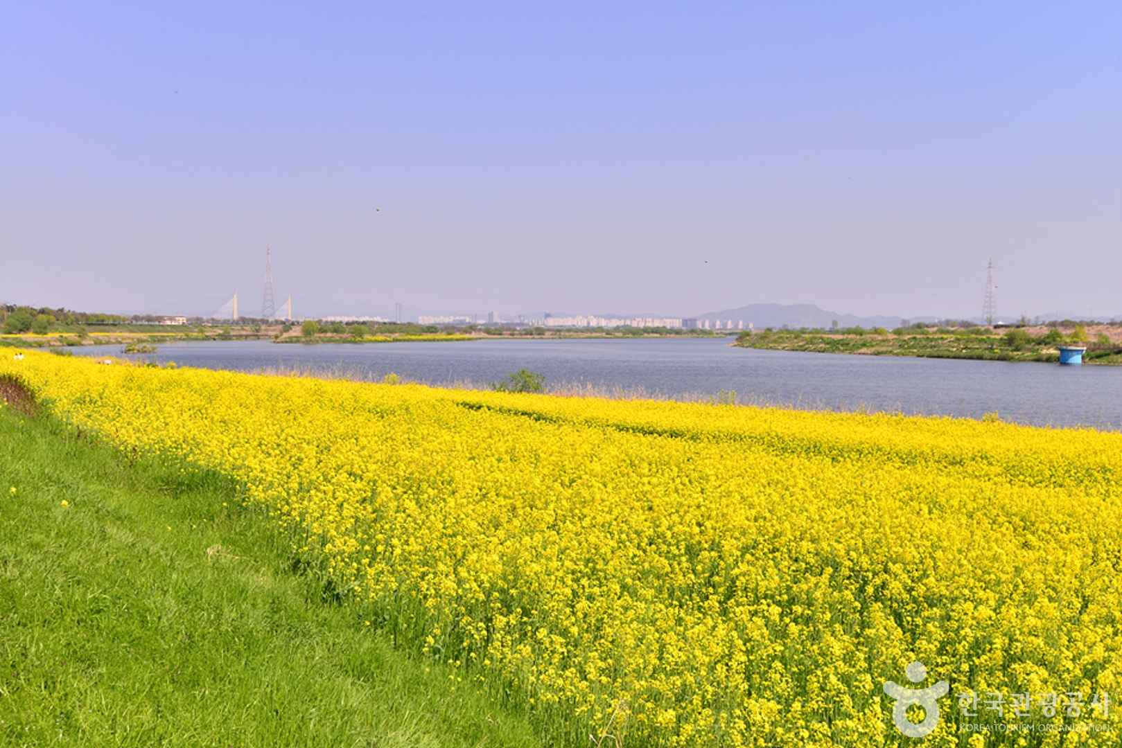 전남 영산강둔치체육공원 이미지 2