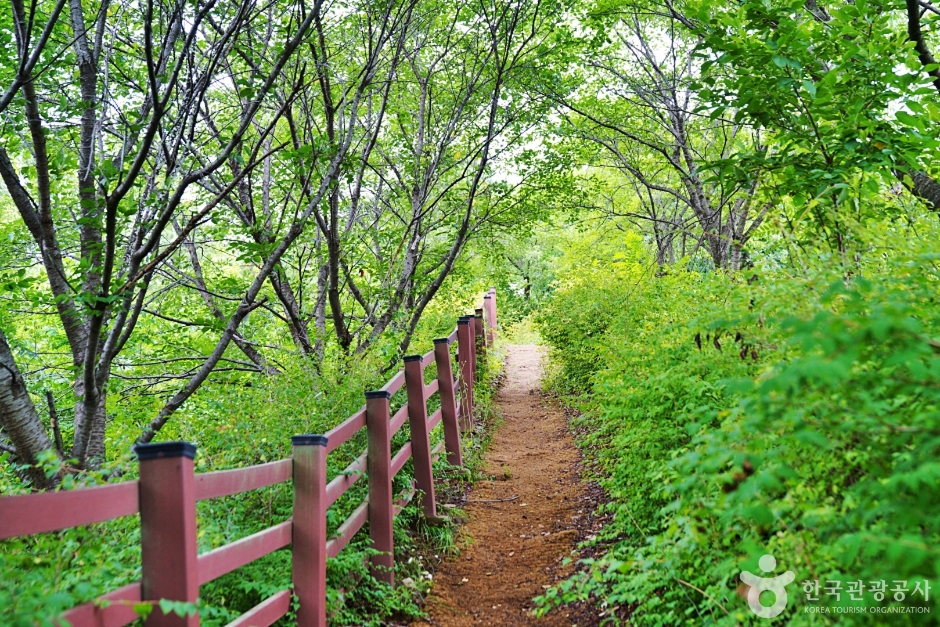 초평호 농암정 이미지 7