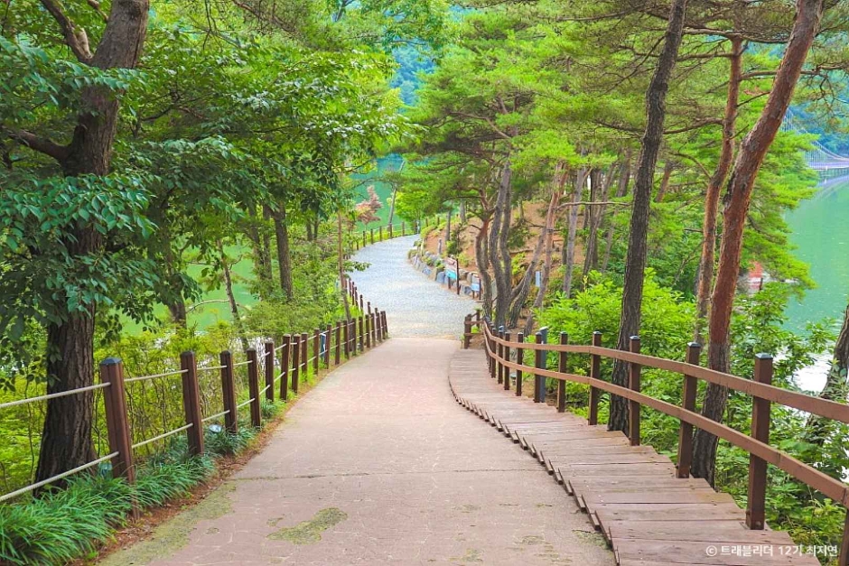 천장호 출렁다리 이미지 4