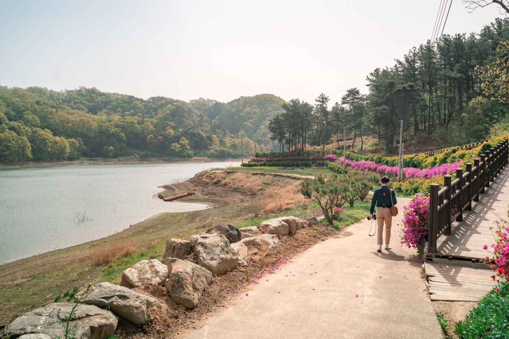 옥천 부소담악(추소정) 이미지 5