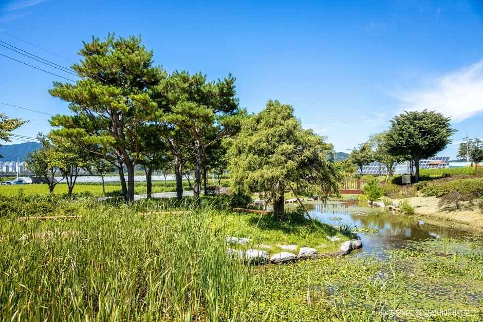 농심테마파크(농업기술센터) 이미지 3