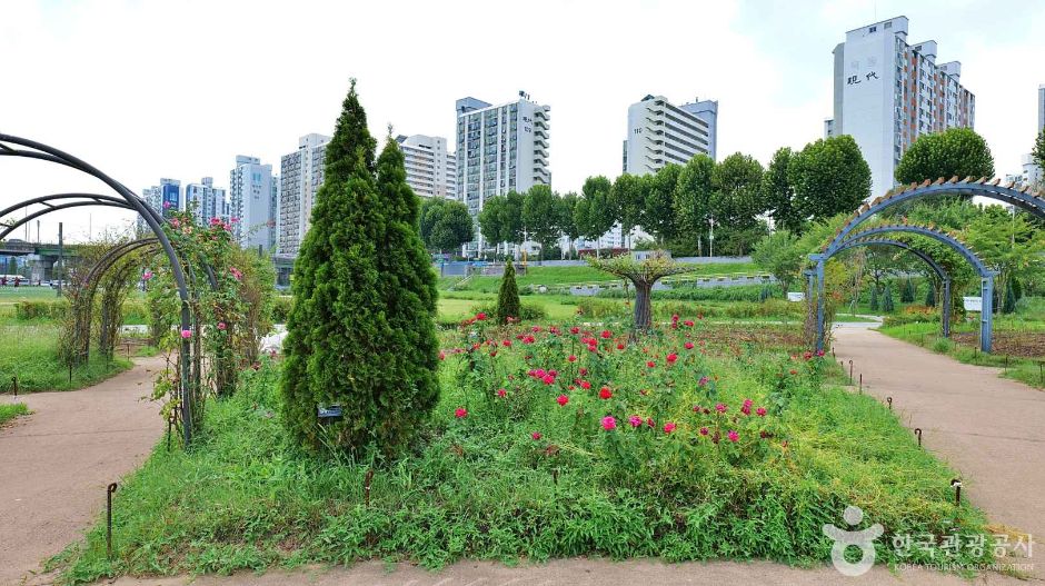 안양천 사계절 테마원 이미지 2