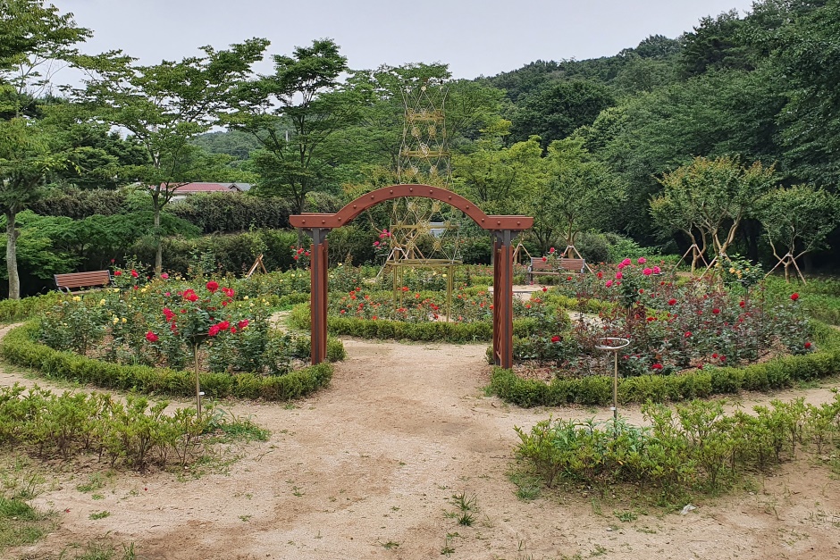 도음산산림문화수련장 이미지 1