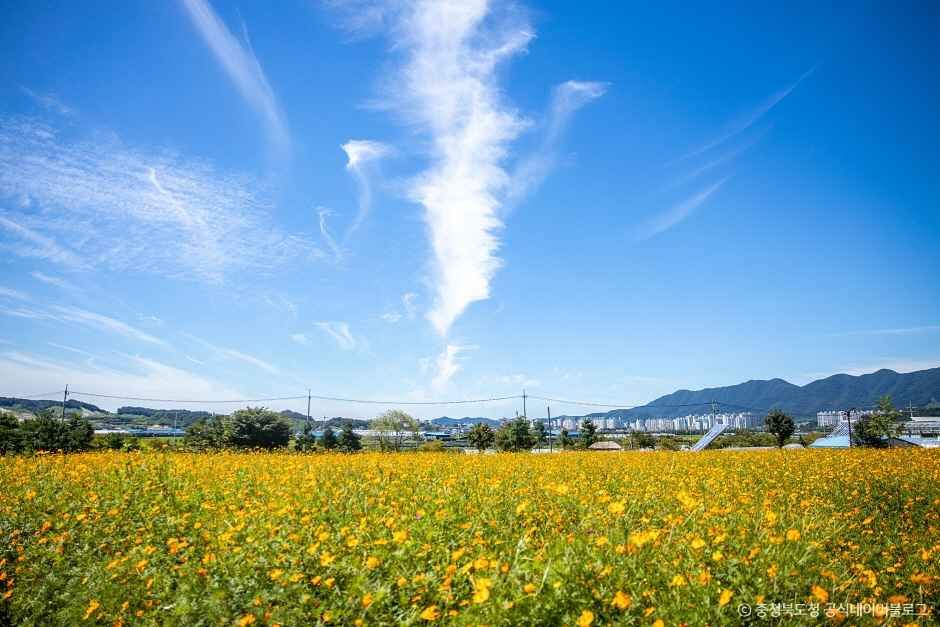 농심테마파크(농업기술센터) 이미지 1