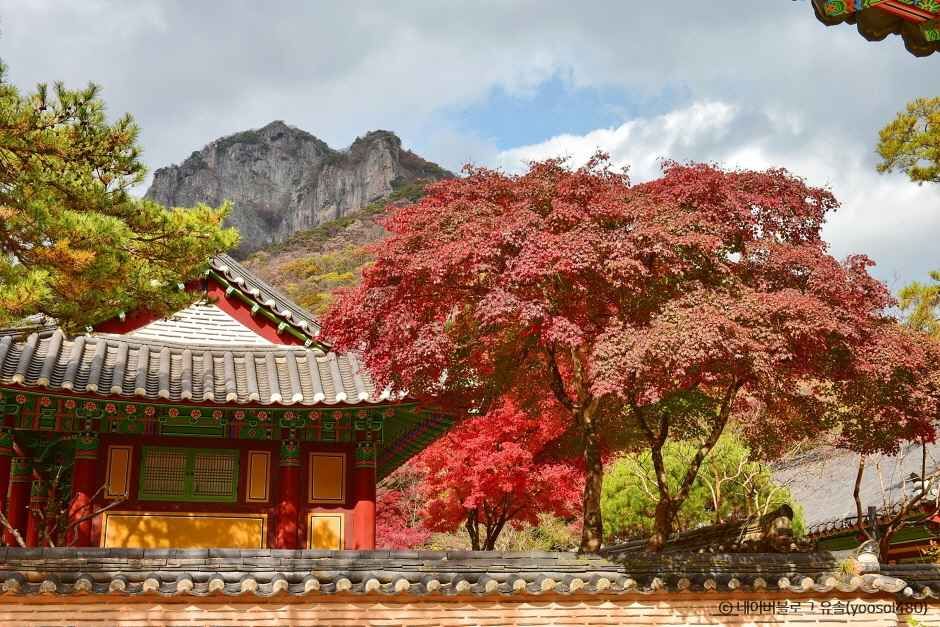 전남 장성 백양사 이미지 2