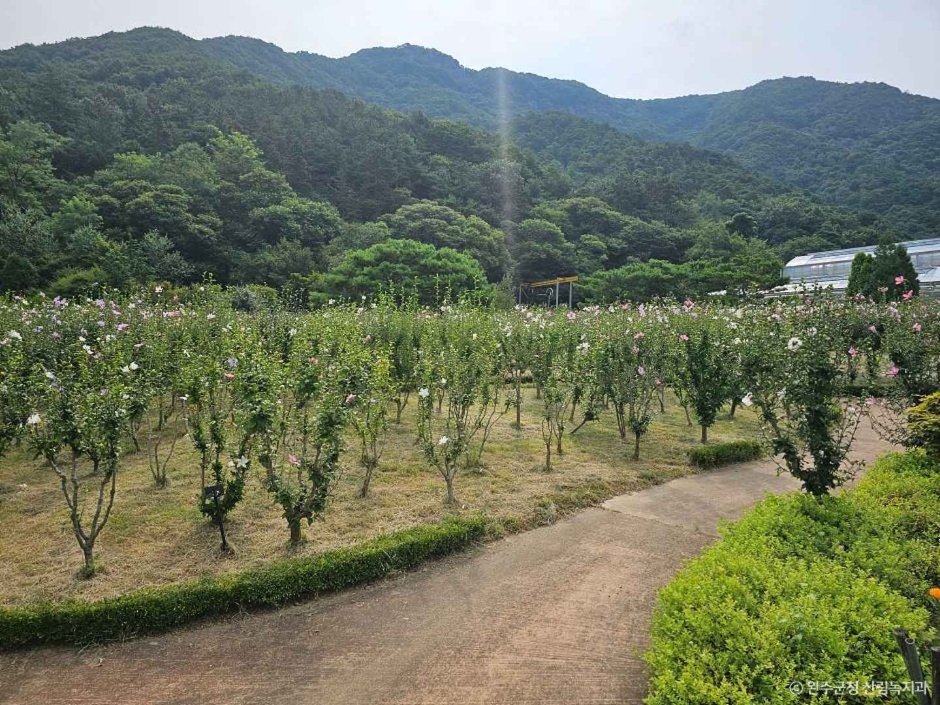 고산문화공원 이미지 1