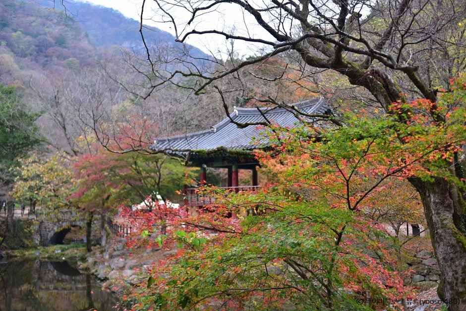 전남 장성 백양사 이미지 5