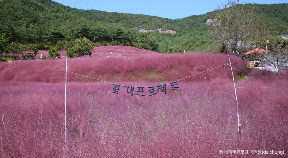꽃객프로젝트 이미지 4