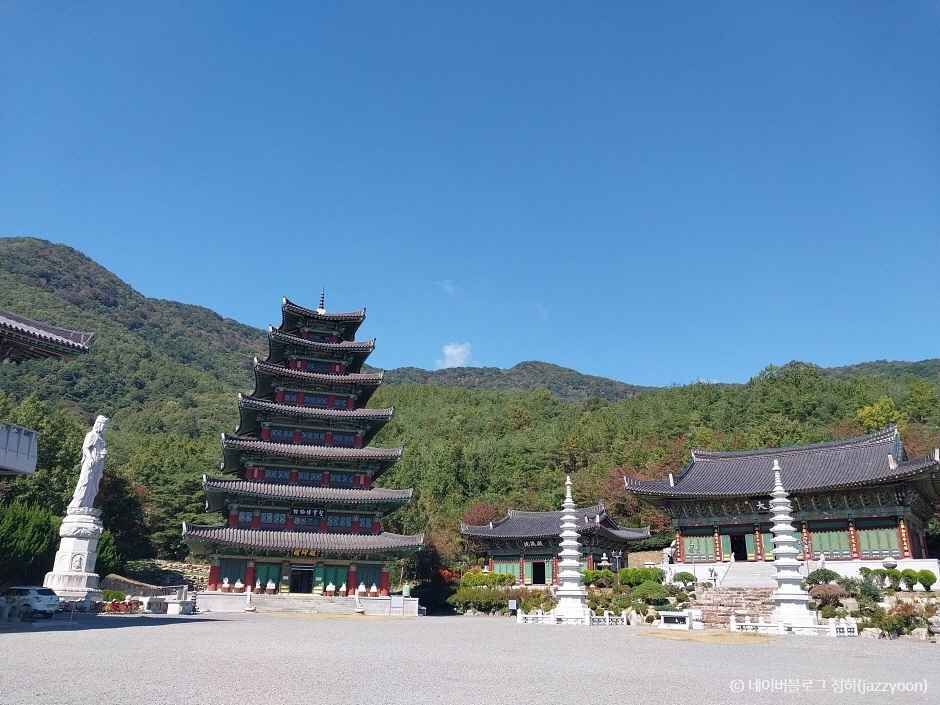 밀양 영산정사 (석조여래좌상) 이미지 2