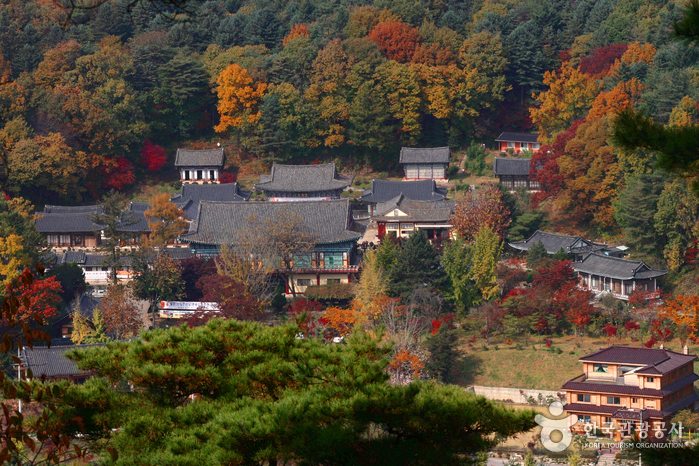 봉선사(경기) 이미지 1