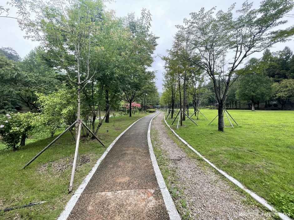 도음산산림문화수련장 이미지 3