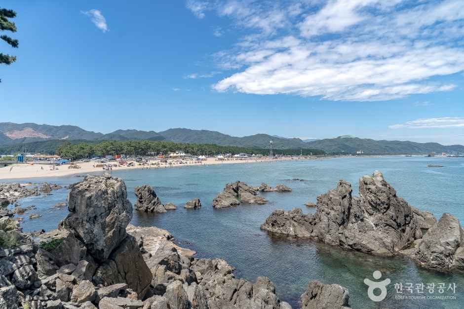 삼척 덕봉산 해안생태탐방로 이미지 3