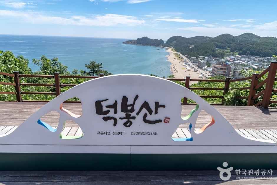 삼척 덕봉산 해안생태탐방로 이미지 2