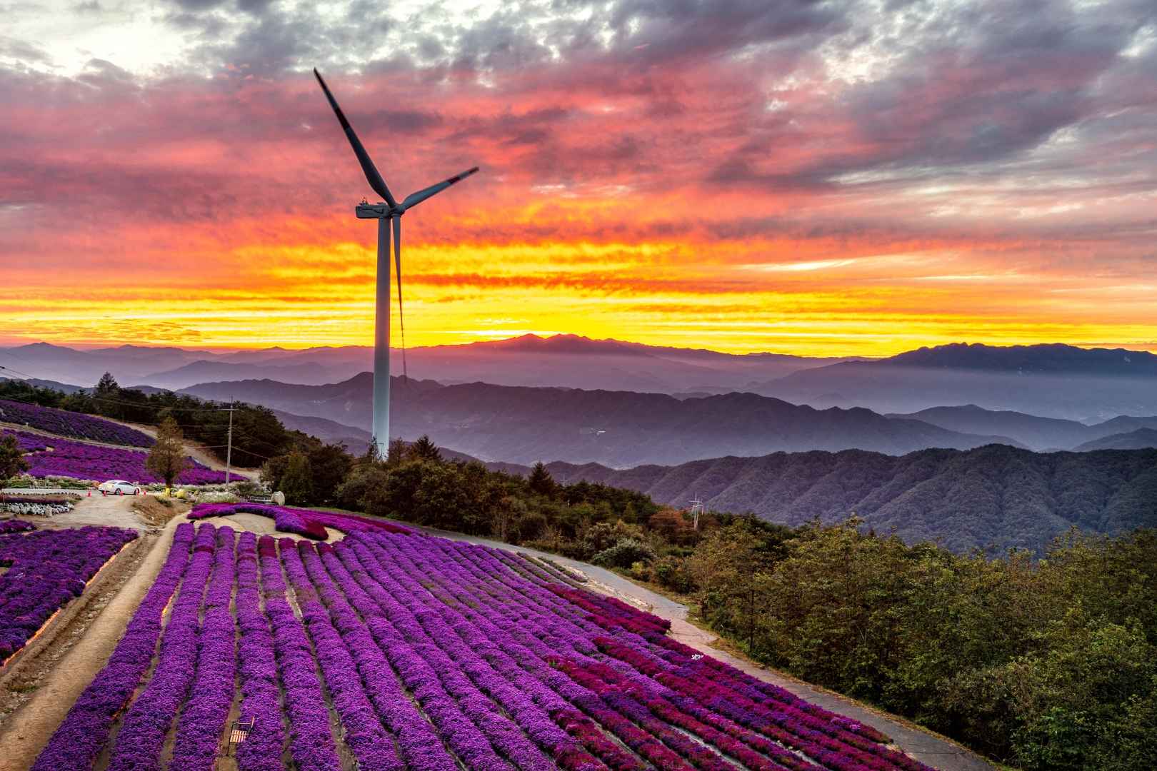 경남 거창 별바람언덕 이미지 1