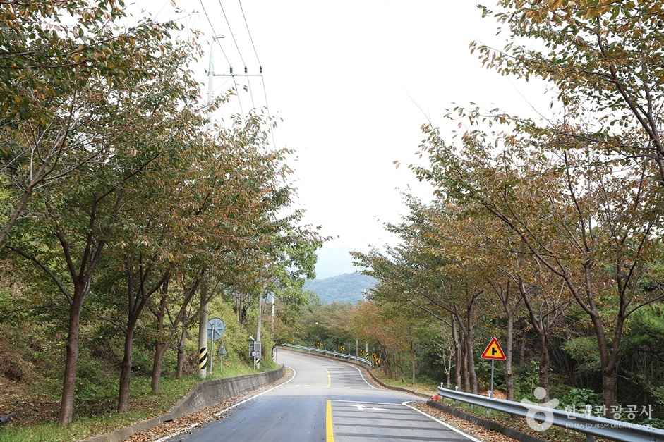 경남산청 정취암 가는길 이미지 5