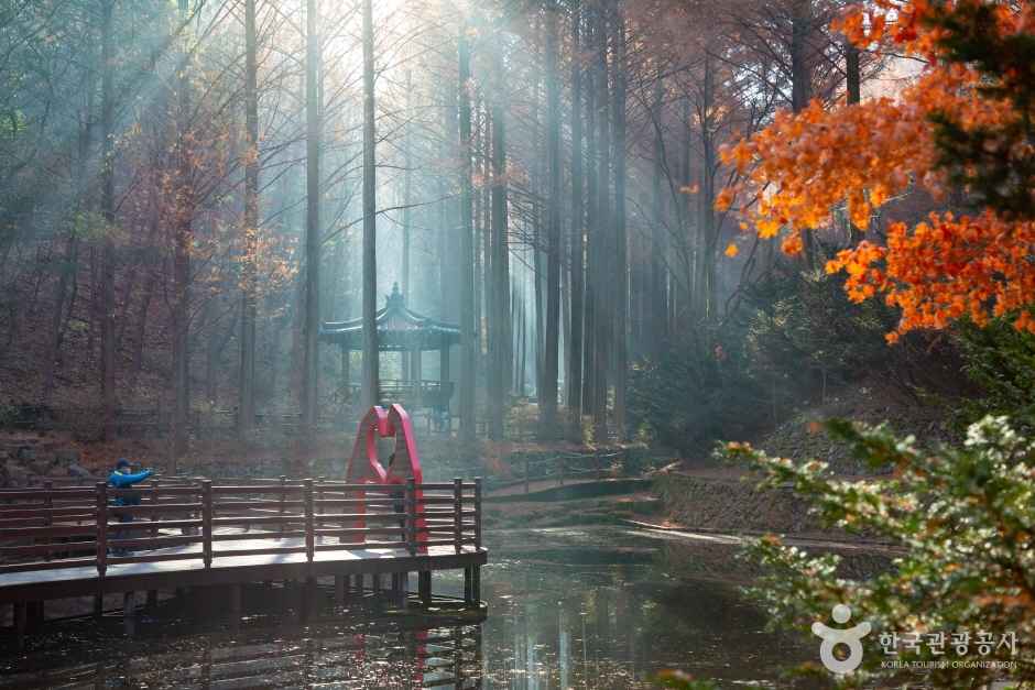 대전 장태산 자연휴양림 이미지 8