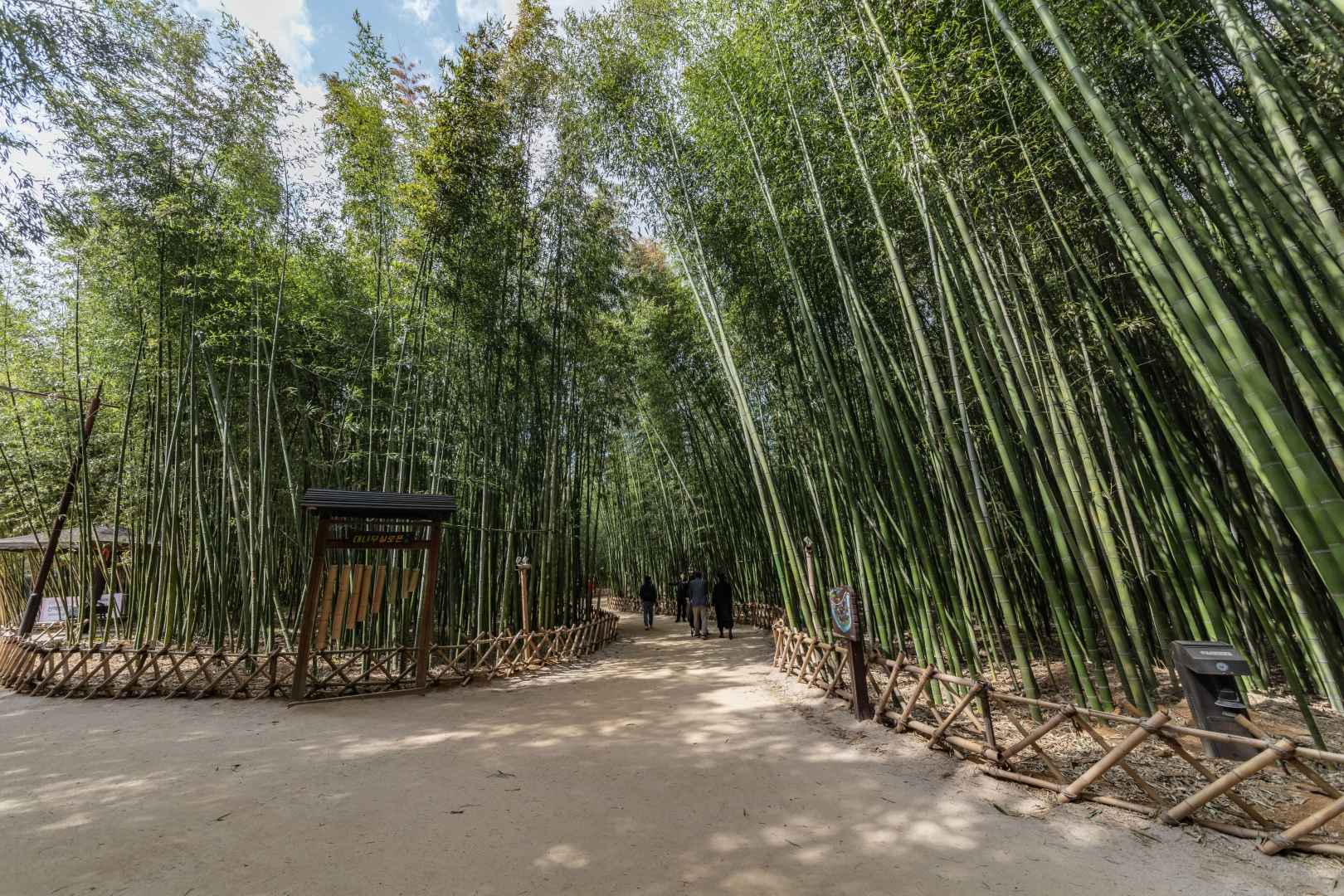 울산 태화강 국가정원 이미지 5