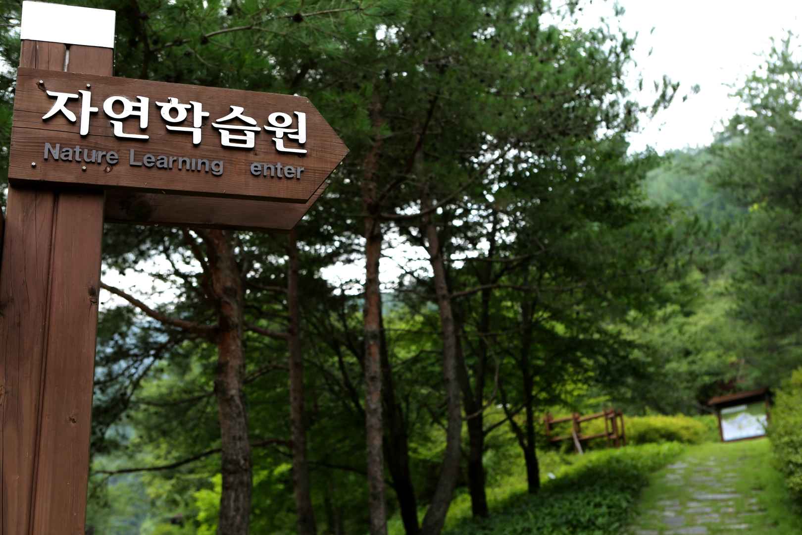 가평 명지산 생태전시관 이미지 3
