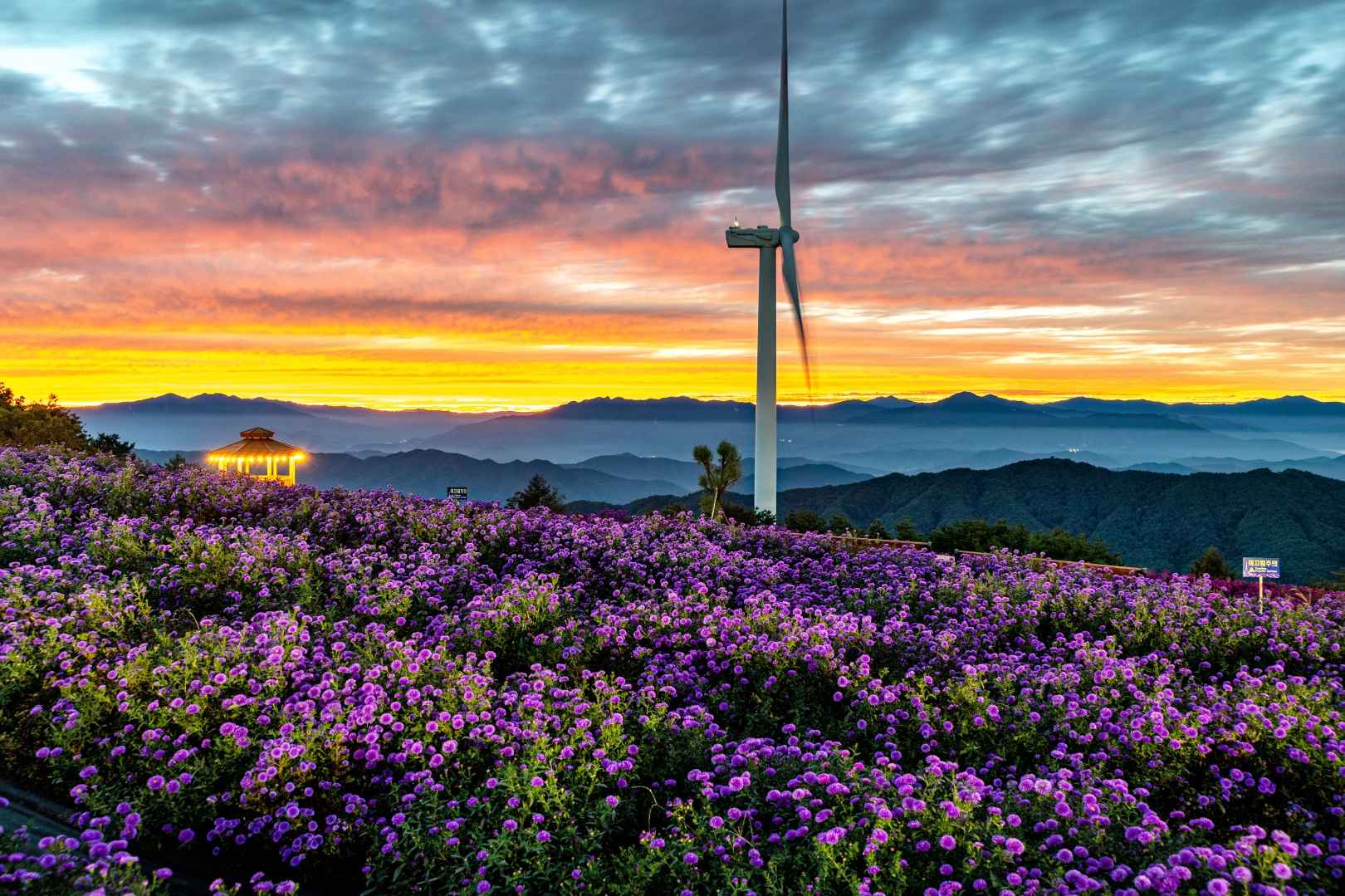 경남 거창 별바람언덕 이미지 4