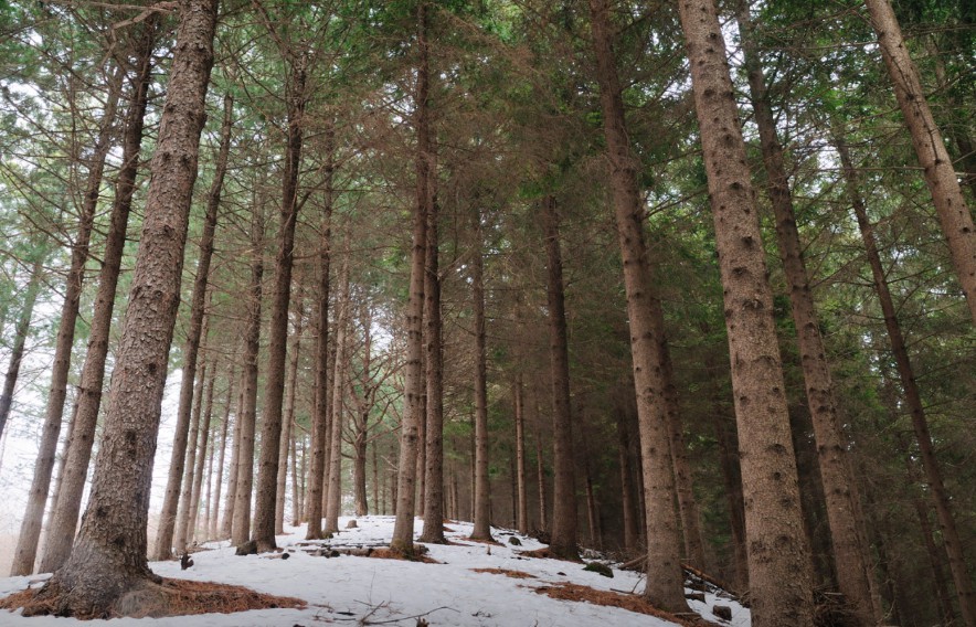 국립 횡성숲체원 이미지 5
