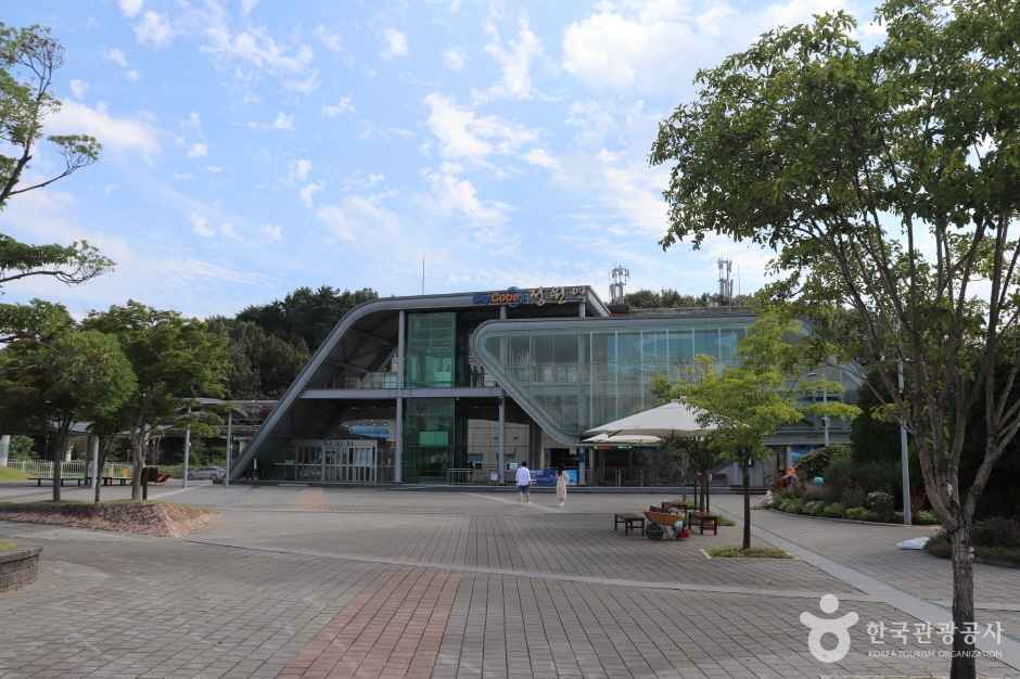 순천만 국가정원 이미지 2