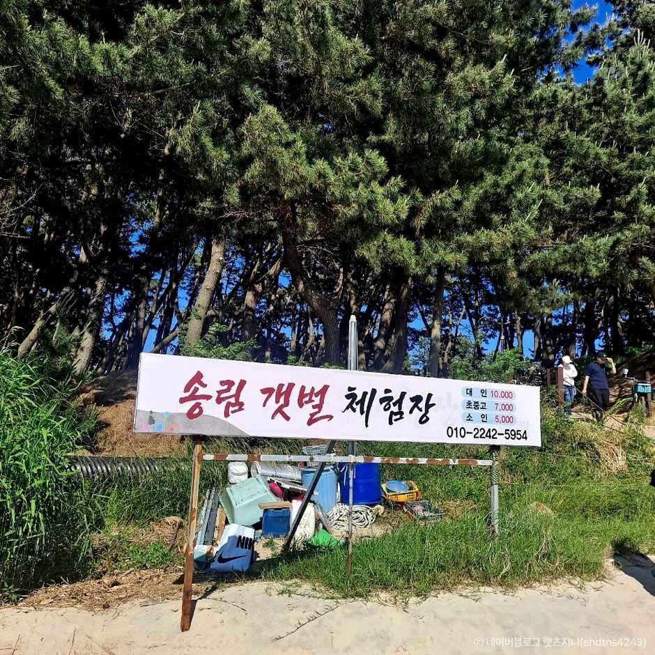장항 송림갯벌체험장_유네스코세계문화유산 이미지 4