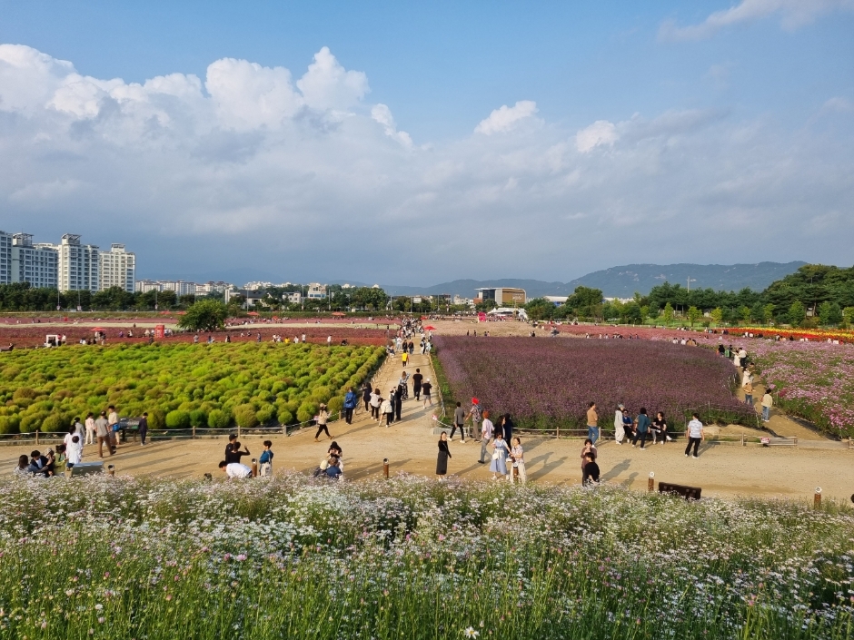 양주 나리농원 이미지 5