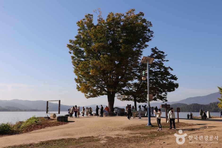 양평 두물머리 이미지 1