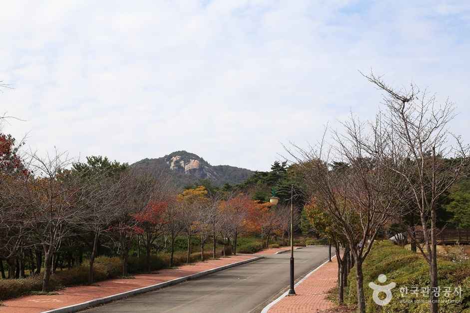 경남산청 정취암 가는길 이미지 6